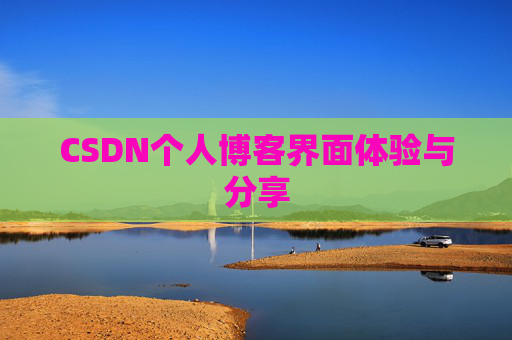 CSDN个人博客界面体验与分享